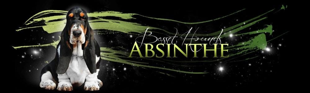 /wp-content/uploads/2024/06/header2017_001.jpg
